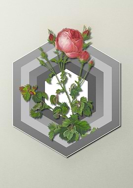 Geometric Floral Roses