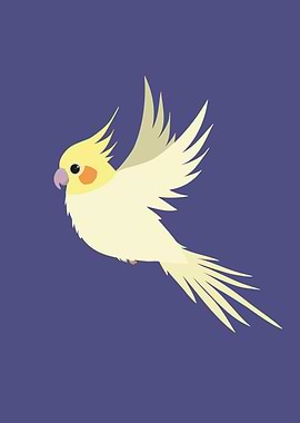 Flying cockatiel