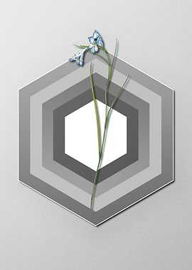 Geometric Floral on Pastel