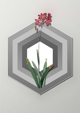 Corn Lily on Paper Shield