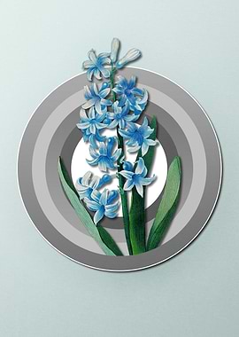 Hyacinth on Paper Shield