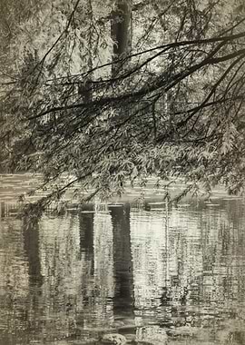 landscape of blue lake