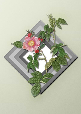 Roses on Paper Diamonds