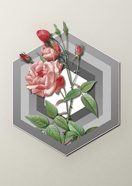 Geometric Floral Roses