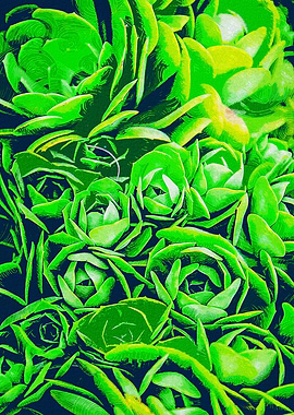 Stacked Up Succulent Plant