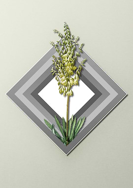 Geometric Adams Needle