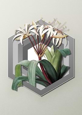 Flower on Paper Shield