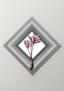 Crocus on Paper Diamonds