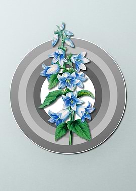 Geometric Bellflowers