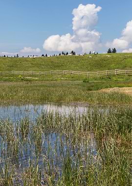 landscape of blue lake