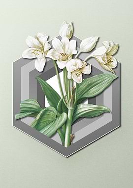 Flower on Paper Shield