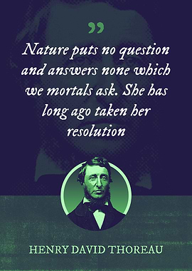 Nature puts no question