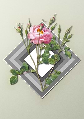 Geometric Pastel Roses