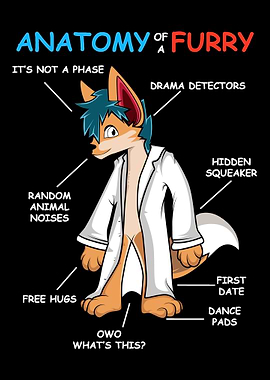 Anatomy Of Furry Animal Fu