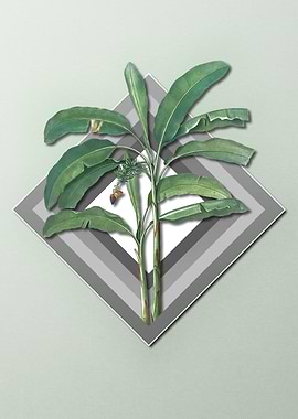 Banana on Paper Diamonds