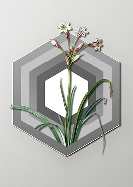 Flower on Paper Shield