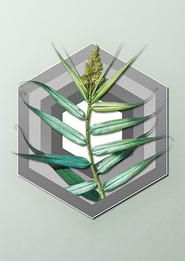 Geometric Floral Bush Cane