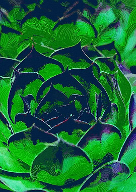 Succulent Natural Pattern