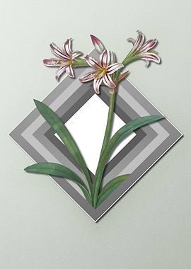 Geometric Pastel Amaryllis