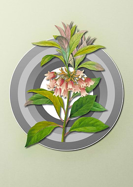 Flowers on Paper Shield