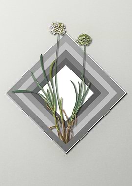 Geometric Flowers on Gray