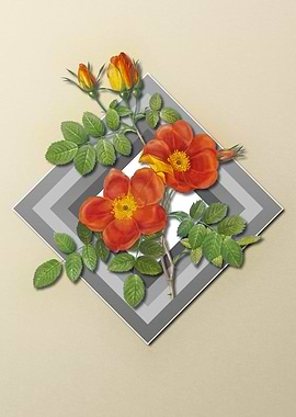 Geometric Pastel Roses