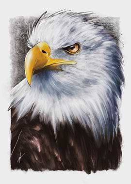 The Look of a Predator