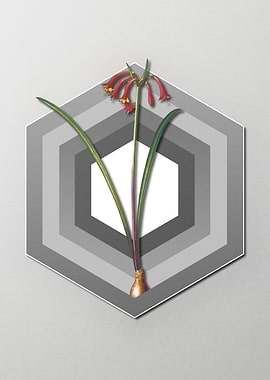 Geometric Floral on Pastel