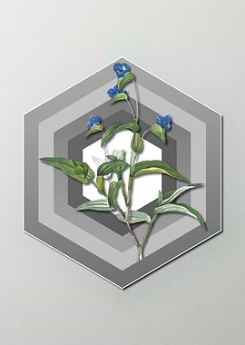 Geometric Floral on Pastel