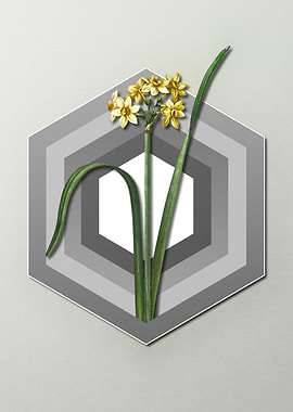 Daffodil on Paper Shield
