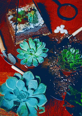 Succulent And Terrarium