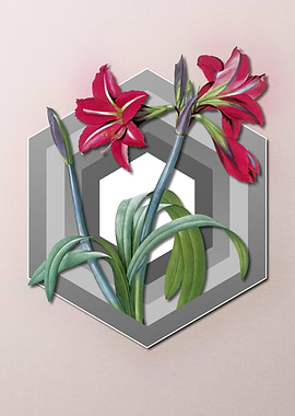 Geometric Amaryllis Pastel