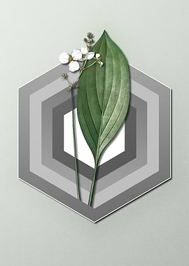 Geometric Floral Arrowhead