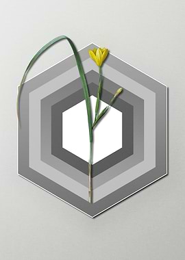 Geometric Floral Tulips