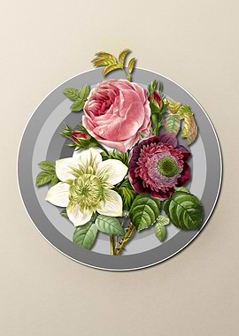 Geometric Anemone Rose