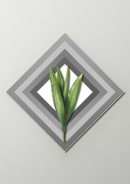 Crocus on Paper Diamonds