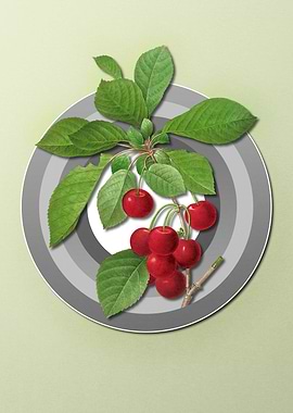 Pastel Floral Cherry Fruit