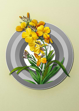 Pastel Floral Cheiranthus