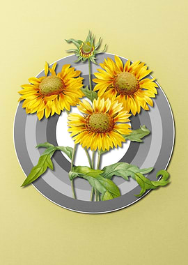 Geometric Blanket Flowers