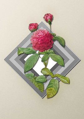 Geometric Agatha Rose