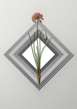 Florals on Paper Diamonds