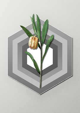 Pastel Floral on Geometric