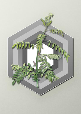 Pastel Floral on Geometric