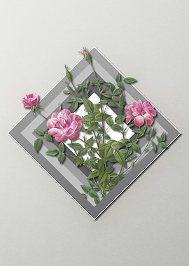 Dwarf Rose Spring Pastel