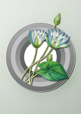 Lotus on Pastel Paper