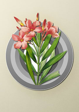 Geometric Floral Oleander