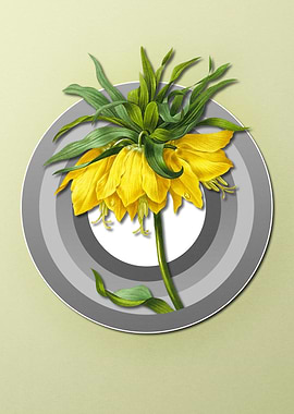 Geometric Kaisers Crown