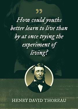 How could youths better