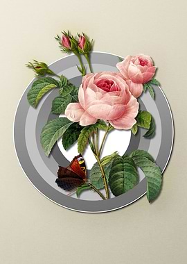 Spring Pastel Pink Rose