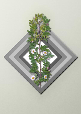 Roses On Spring Pastel